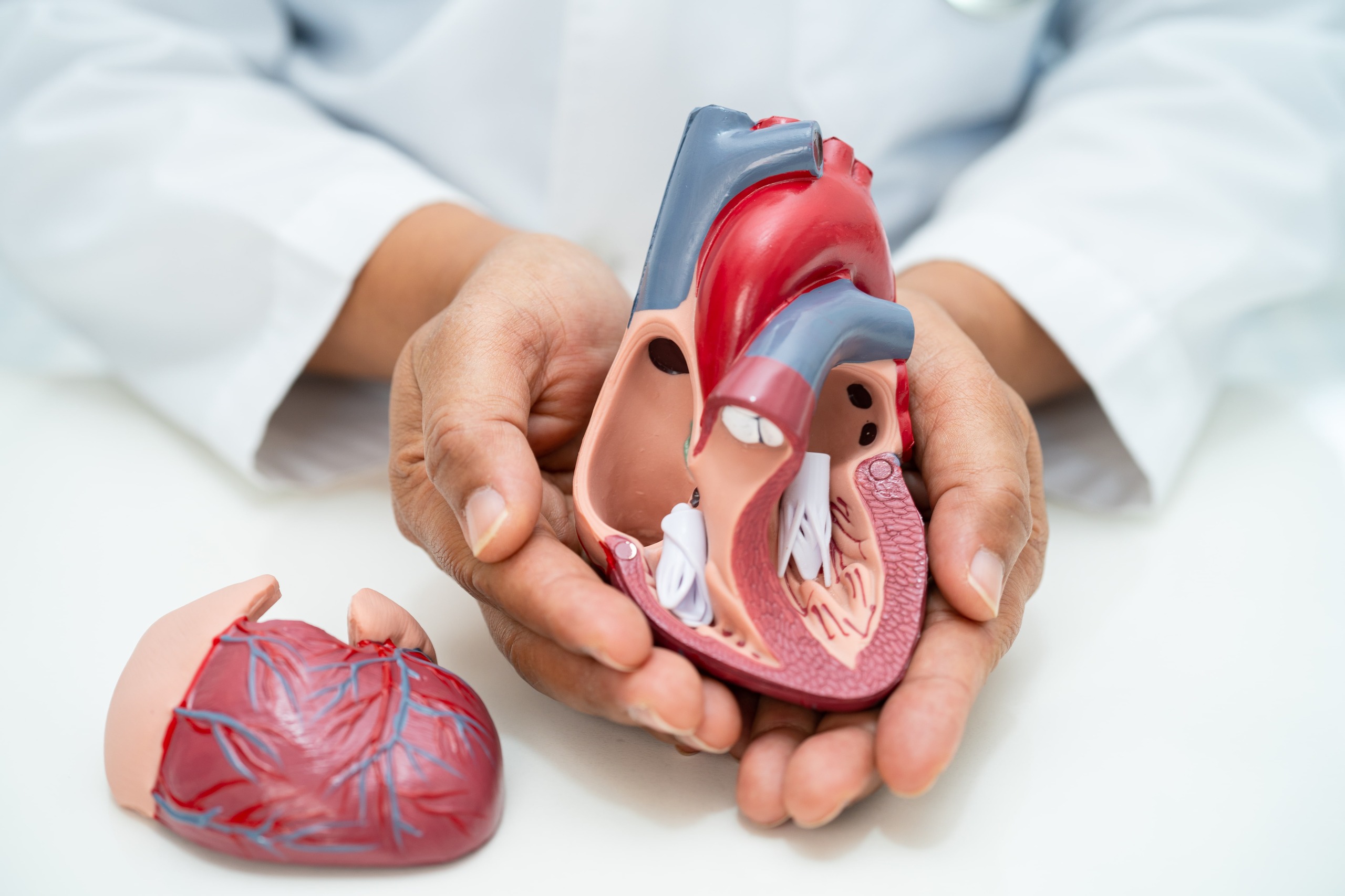 Understanding Heart Disease and Its Risk Factors